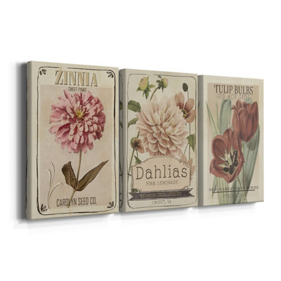 Vintage Seed Packets II  -Custom Wrapped Gallery Canvas - 3 Pieces