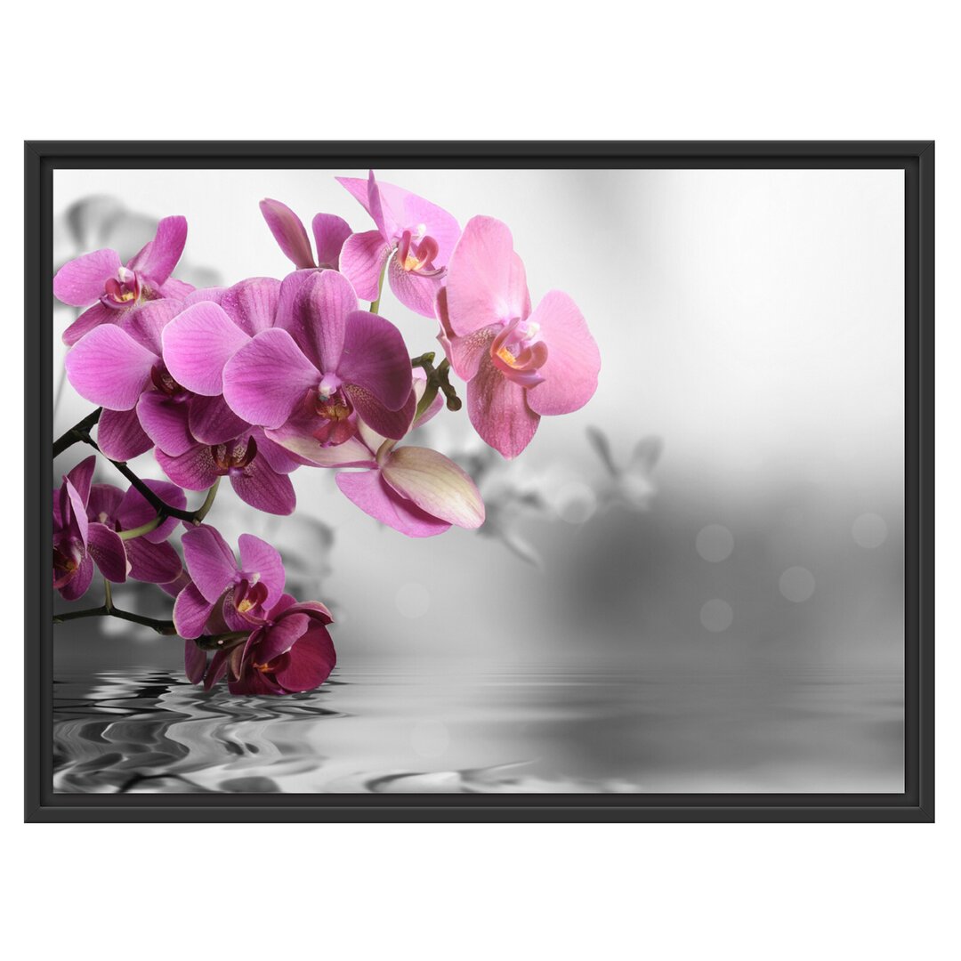 Gerahmtes Wandbild Orchideenblüten über Wasser