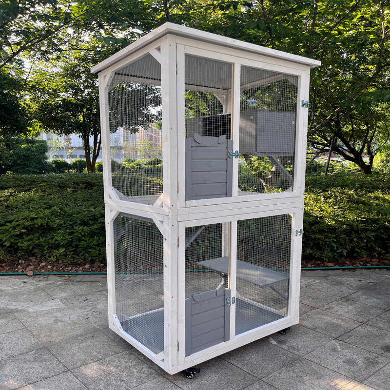 Cage de jeu d'extérieur pour chat