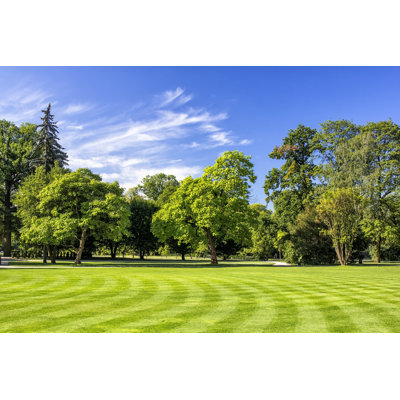Lazienki Royal Park by Ewg3D