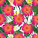 Tropical Pattern With Leaves And Flowers by Andrea_Hill - Wrapped Canvas Print