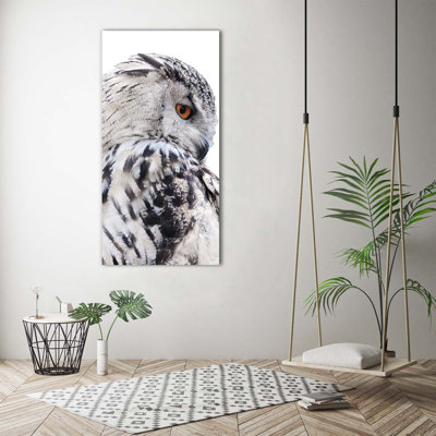 White Owl - Wrapped Canvas Print