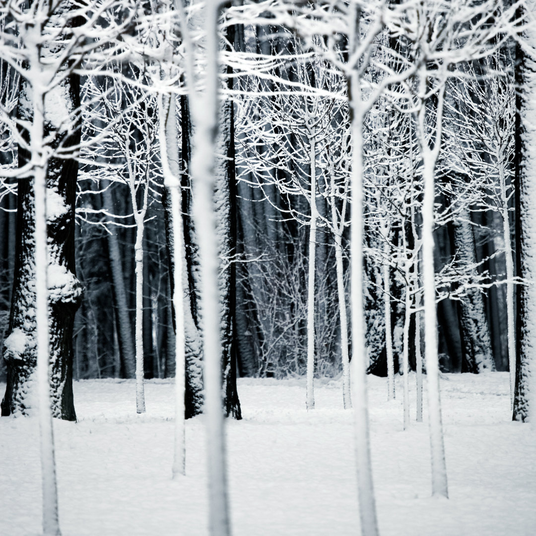 Park Im Winter von Mordolff - Kunstdrucke auf Leinwand ohne Rahmen