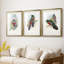 Gould Tropical Birds IV - reproduction encadrée sur mesure de qualité supérieure mate - 3 pièces-159977175