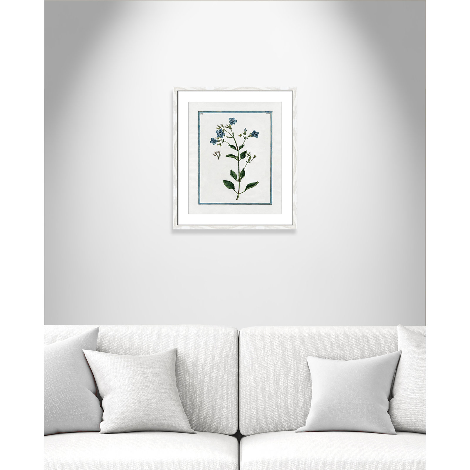 Colombe "Shabby Elegance Botanical II" Print, 16" W x 19" H, White Framed
