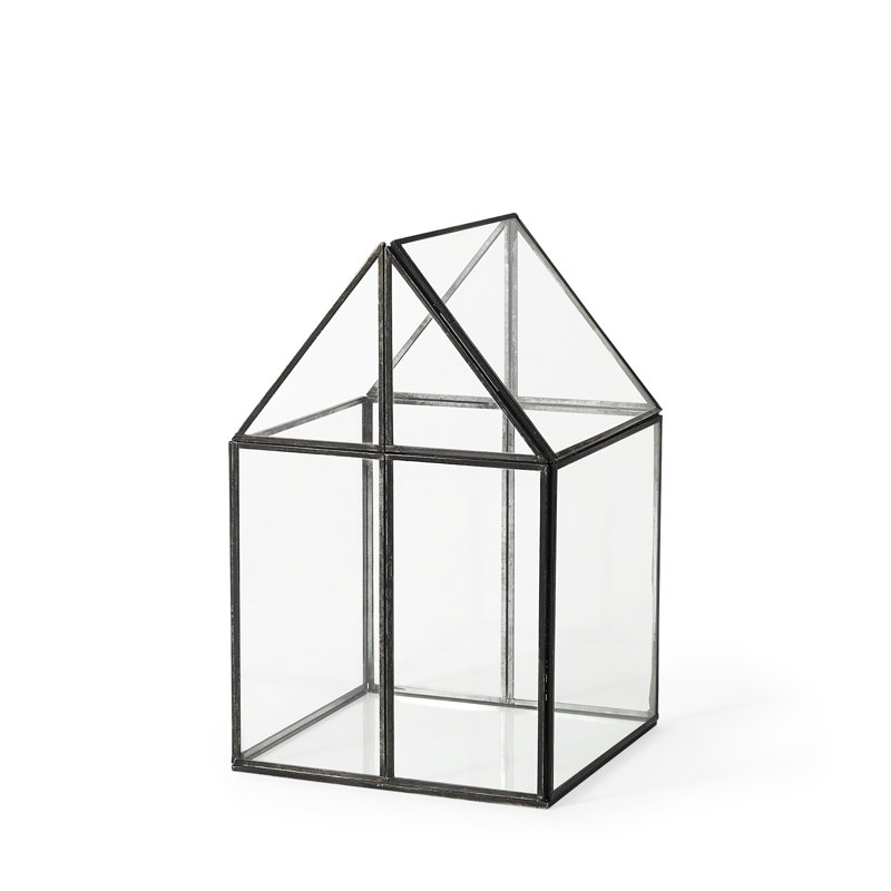Amarina Clear And Black Glass and Metal Terrarium Box, 13" H x 8" W x 8" D