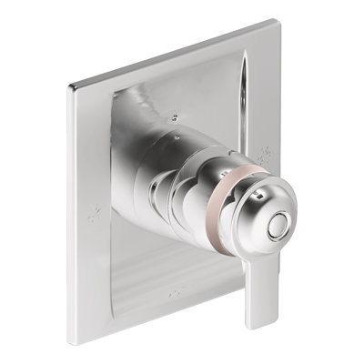 90 Degree Exact Temp Faucet Trim with Lever Handle