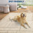 Washable Geometric Area Rug - Modern Patchwork, Non-Slip Low Pile, Soft Minimalist, Non-Shedding Collapsible Carpet-432149784