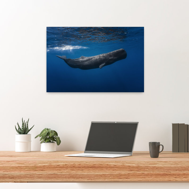 Art contemporain contemporain, baleine, paysage, nature, H 16 po x l 24 po