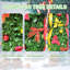 Arbre de Noël 6 pi Pop-Up-465009794