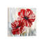 Red Poppies II - Print on Canvas-29382388-56676892