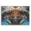 "Bioassemblage" par Pierre Gavidia-1096735652