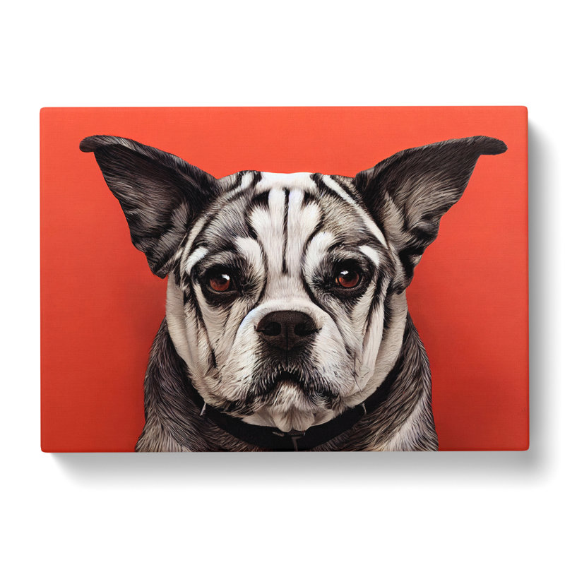 Dog Vol.5 - Wrapped Canvas, 35cm H x 50cm W x 3cm D