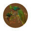 Family Pheasants Pinot Vegan Leather Round Coasters-298883834