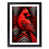 Black Framed selected