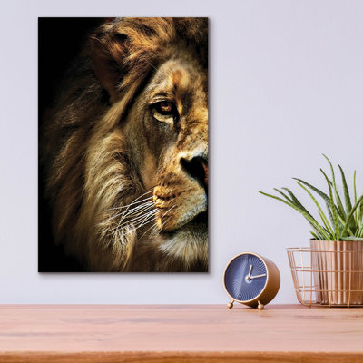 Dakota Fields «Majestic Dominance» par SD Smart, art mural en verre acrylique, 24 po x 36 po