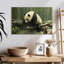 Panda Brampt sur un tronc-108913860