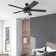 Osburn 52" Ceiling Fan with LED Light
