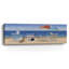 «Dogs Perfect Beach Day», art mural sur toile-1557584677