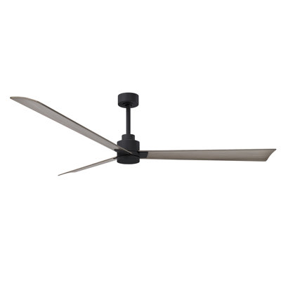Alessandra Outdoor Downrod Ceiling Fan