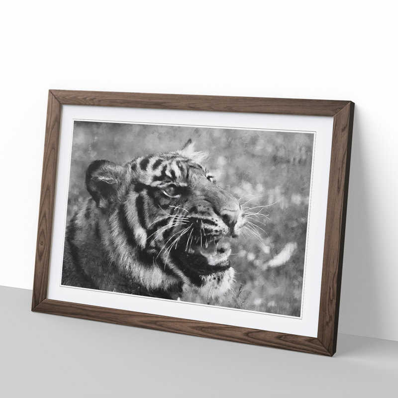 Tiger Vol.4 - Picture Frame Graphic Art, 27cm H x 36cm W x 2cm D, Walnut
