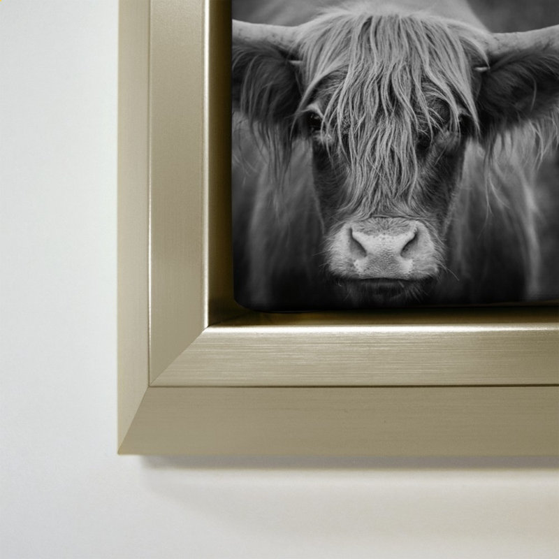 Nez de vache BW, H 40 po x l 28 po, Champagne