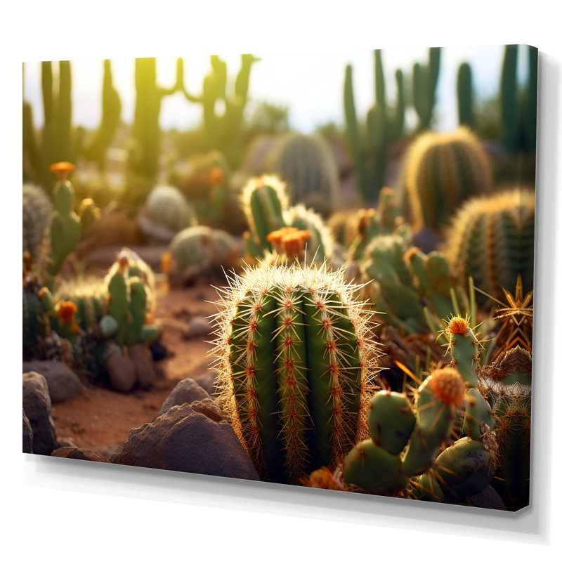 Cactus Perfection Sunrise II - reproduction sur toile, Toile tendue, H 34 po x l 44 po x P 1,5 po