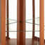 Vitrine d'angle vitrée d'angle pour vitrine d'angle pour le salon, la vitrine, la collection Antique, le vin et le bar
