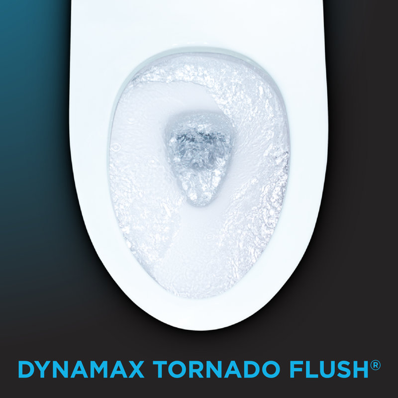 Dual-Flush Elongated Wall Mounted Toilet (Seat Included)