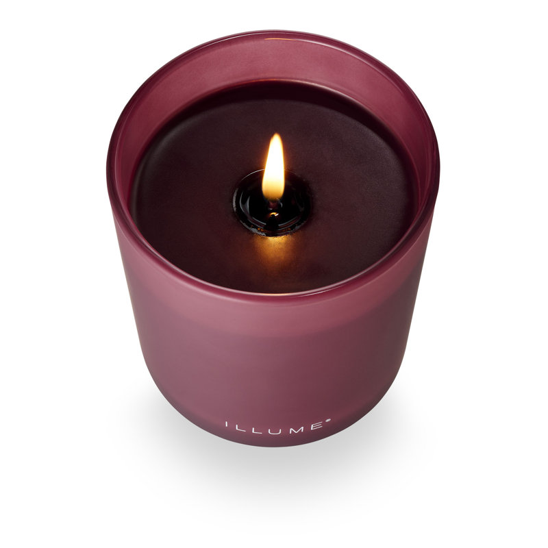 Bougie parfumée en verre en forme de chêne Oleander