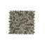 Oyster Glass Penny Round Mosaic Wall Tile