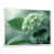 Cadre flottant blanc