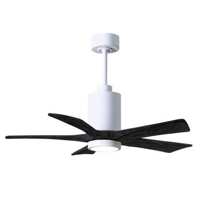 Patricia LED Downrod Ceiling Fan