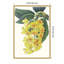Impression sur toile encadrée «Tropicals VI» par Ciska-1044949081