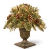 Outdoor Potted Christmas Tree