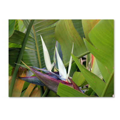 " Paradise 2 " by Patty Tuggle