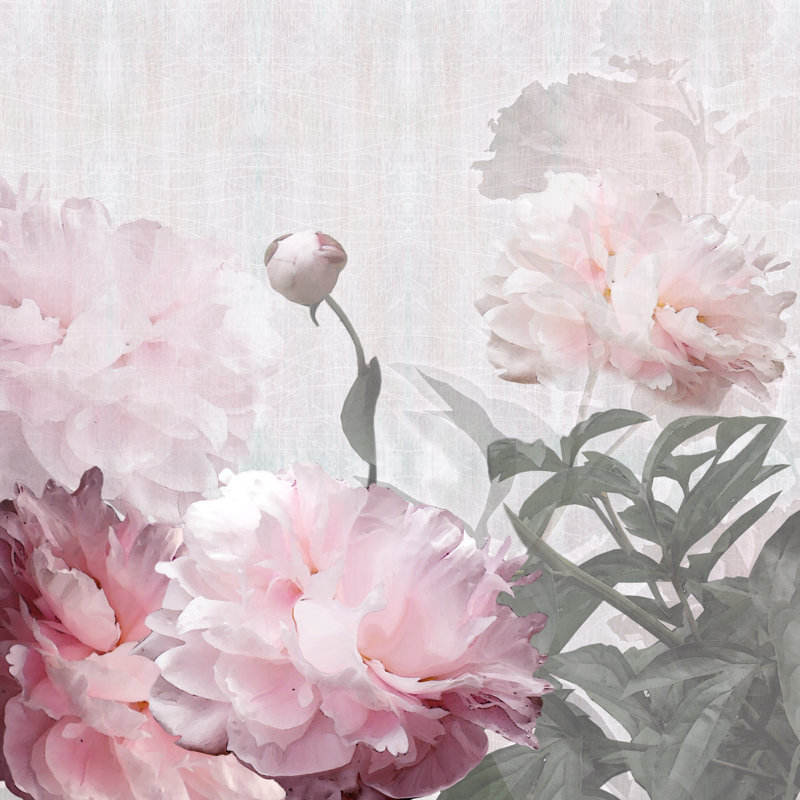 Spencerport Peonies - Wrapped Canvas Print, 30cm H x 30cm W x 3.8cm D