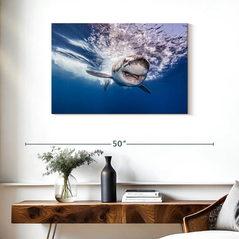 Requin joyeux, H 24 po x l 36 po