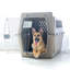 Chyene Plastic Pet Crate with 1 Door