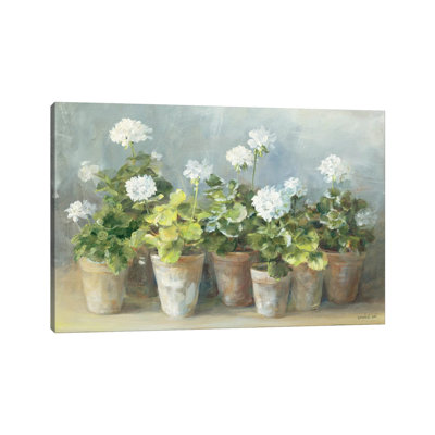 Geraniums - Wrapped Canvas Print