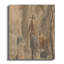 1 Piece Wrapped Canvas Wall Art Set-1062058344