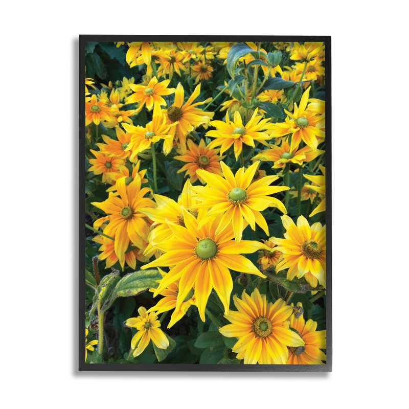 Champ de tournesols en fleurs, ampoules vertes et pétales jaunes - Peinture, H 20 po x l 16 po x l 1,5 po, Cadre noir
