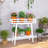 Lalana Plant Stand