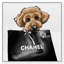 Poodle Glam - Impression sur toile-67762567-67762566
