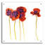 Art mural en verre Winston Porter «Splash Garden 2 On White» par Shirley Novak-494256496
