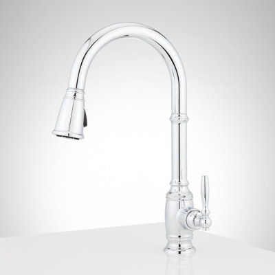 Signature Hardware Finnian Pull-Down Kitchen Faucet