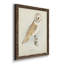 Toile encadrée de qualité supérieure Barn Owl - prête à être accrochée-472605958-472605959
