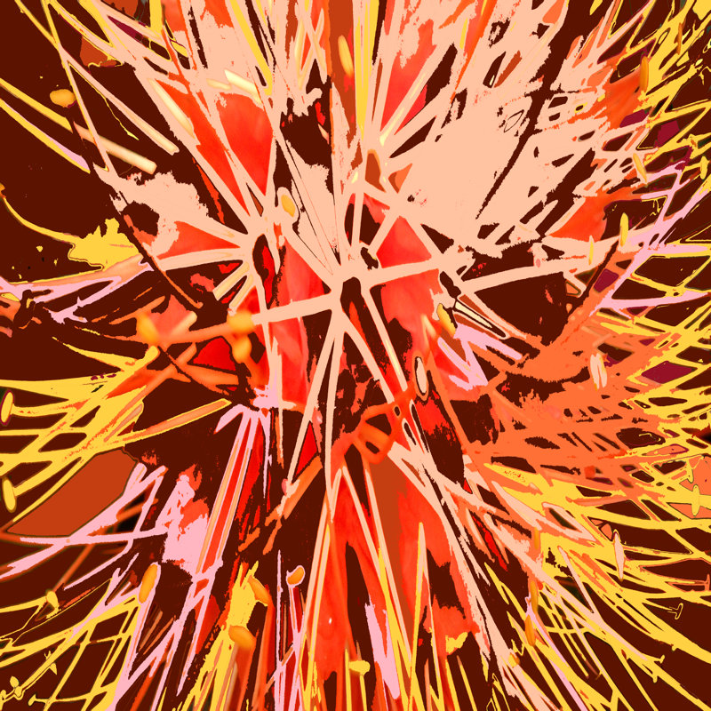 Feux d'artifice Natures, H 20 po x l 20 po, Oui, Cadre simple blanc