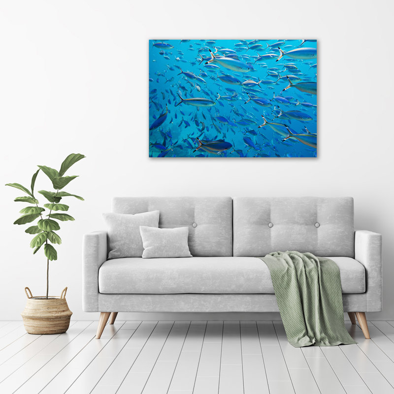 Coral Fish - Unframed Art Prints on Glass