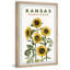Kansas, tournesol, reproduction encadrée-89020094